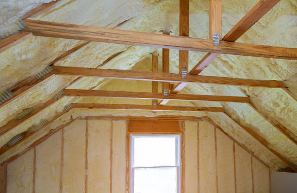 Best Insulation Materials and Products in Roanoke, IL