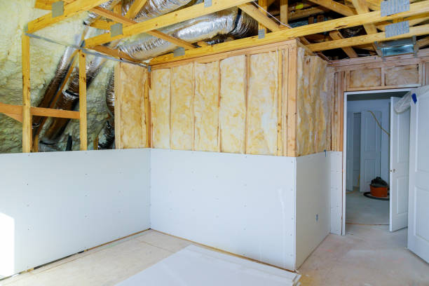Best Insulation Installation Services in Roanoke, IL