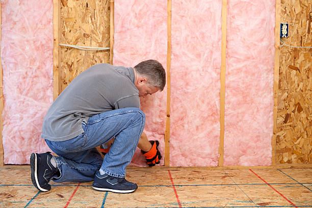 Best Specialty Insulation in Roanoke, IL