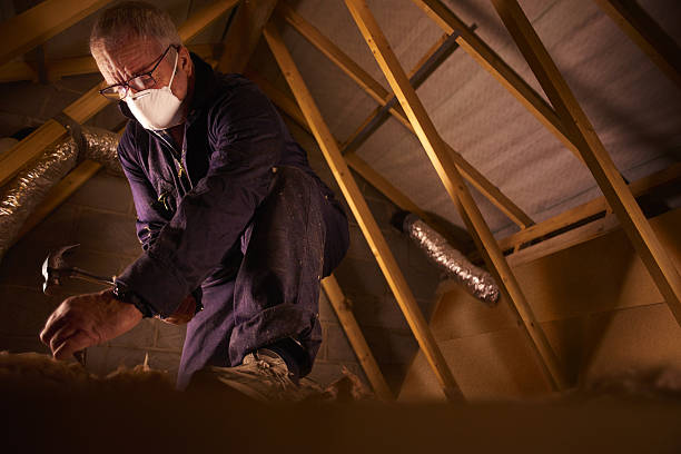Best Residential Insulation in Roanoke, IL